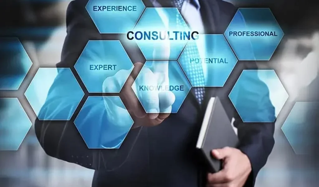 Expert Security Consultancy